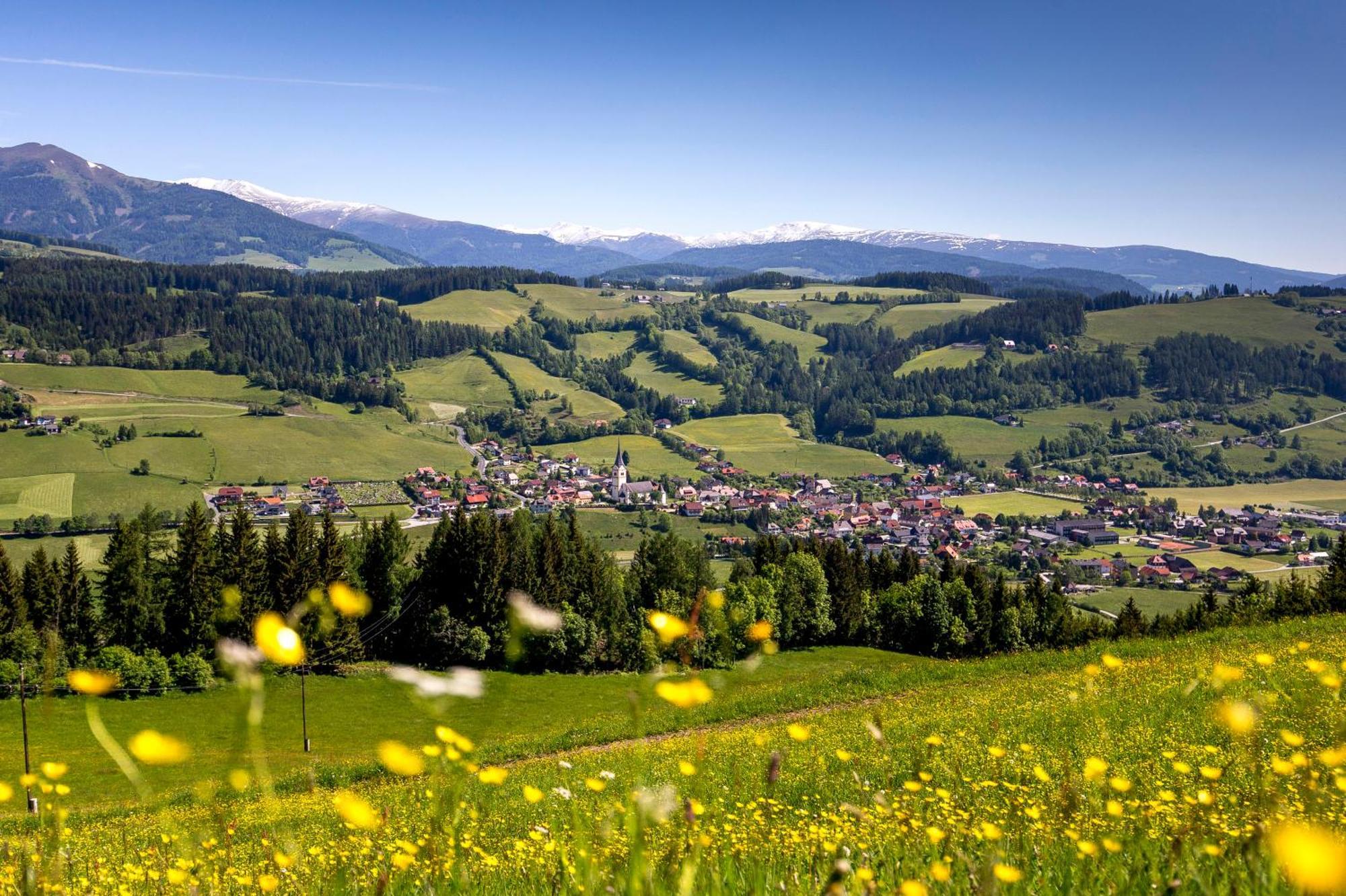 Naturpark Chalets Lambrecht By Alps Resorts Sankt Lambrecht Exteriör bild